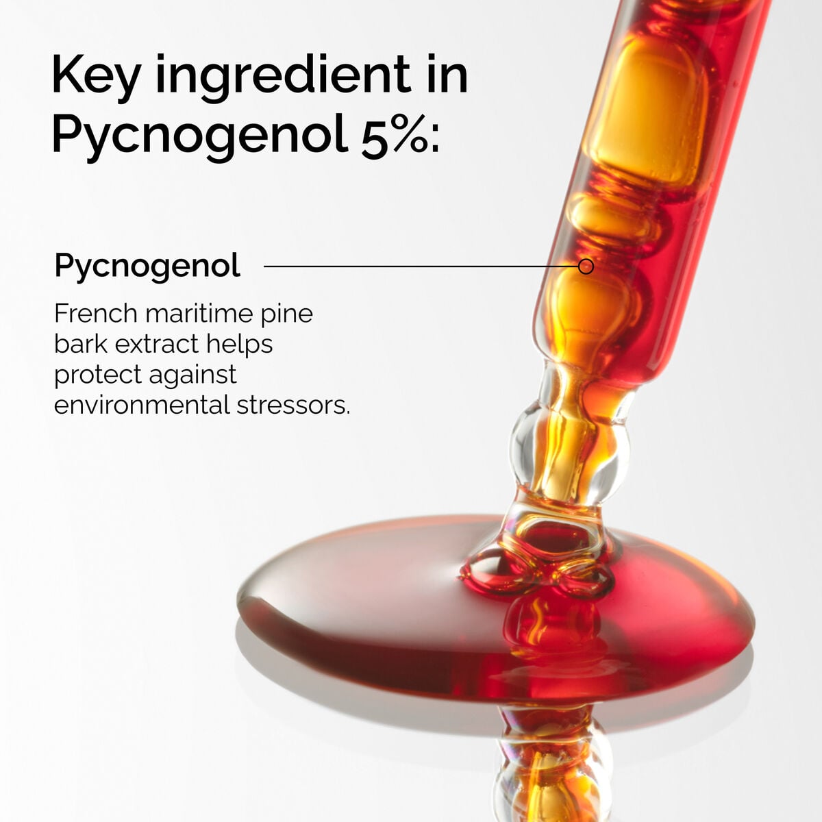 pycnogenol-5-m1 FY25-D41247-ORD-Web-PDP-Pyc-5pct-1x1-EN-2a.jpg