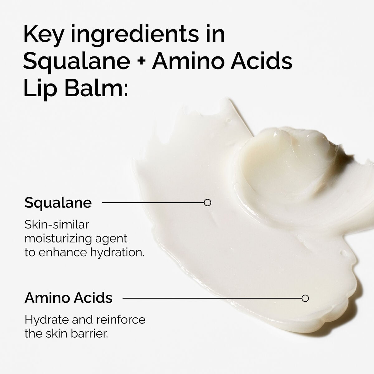 squalane-amino-acids-lip-balm-a6 FY25-D41247-ORD-Web-PDP-Sql-Amino-Lip-1x1-EN-2a.jpg