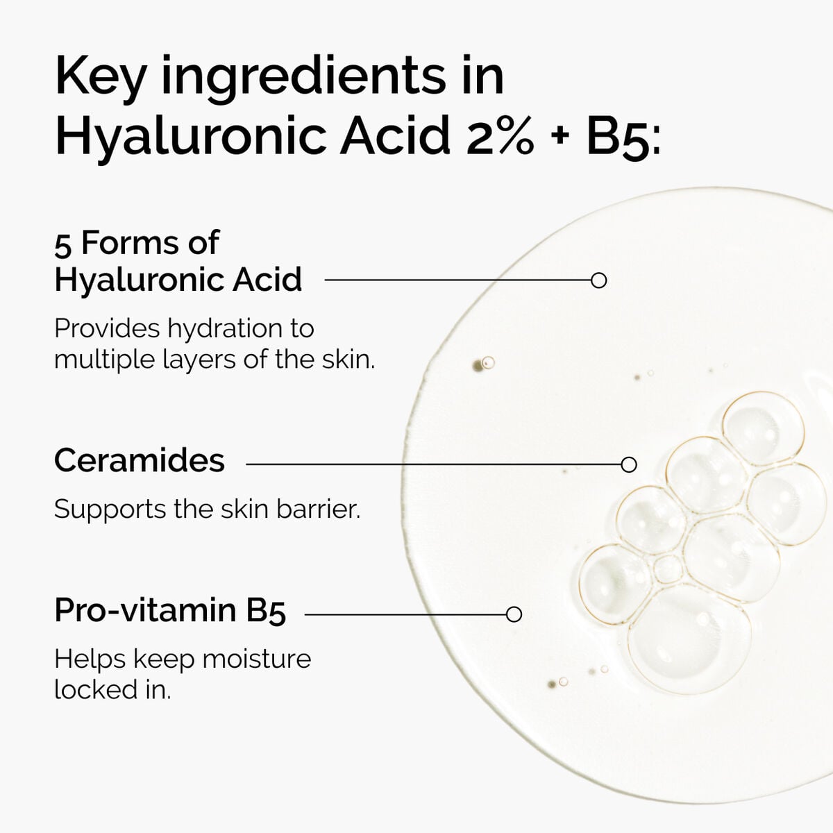 hyaluronic-acid-2-b5-with-ceramides-r1 ord-hyaluronic-acid-2pct-b5-hydrating-serum-ingredients-graphic.jpg