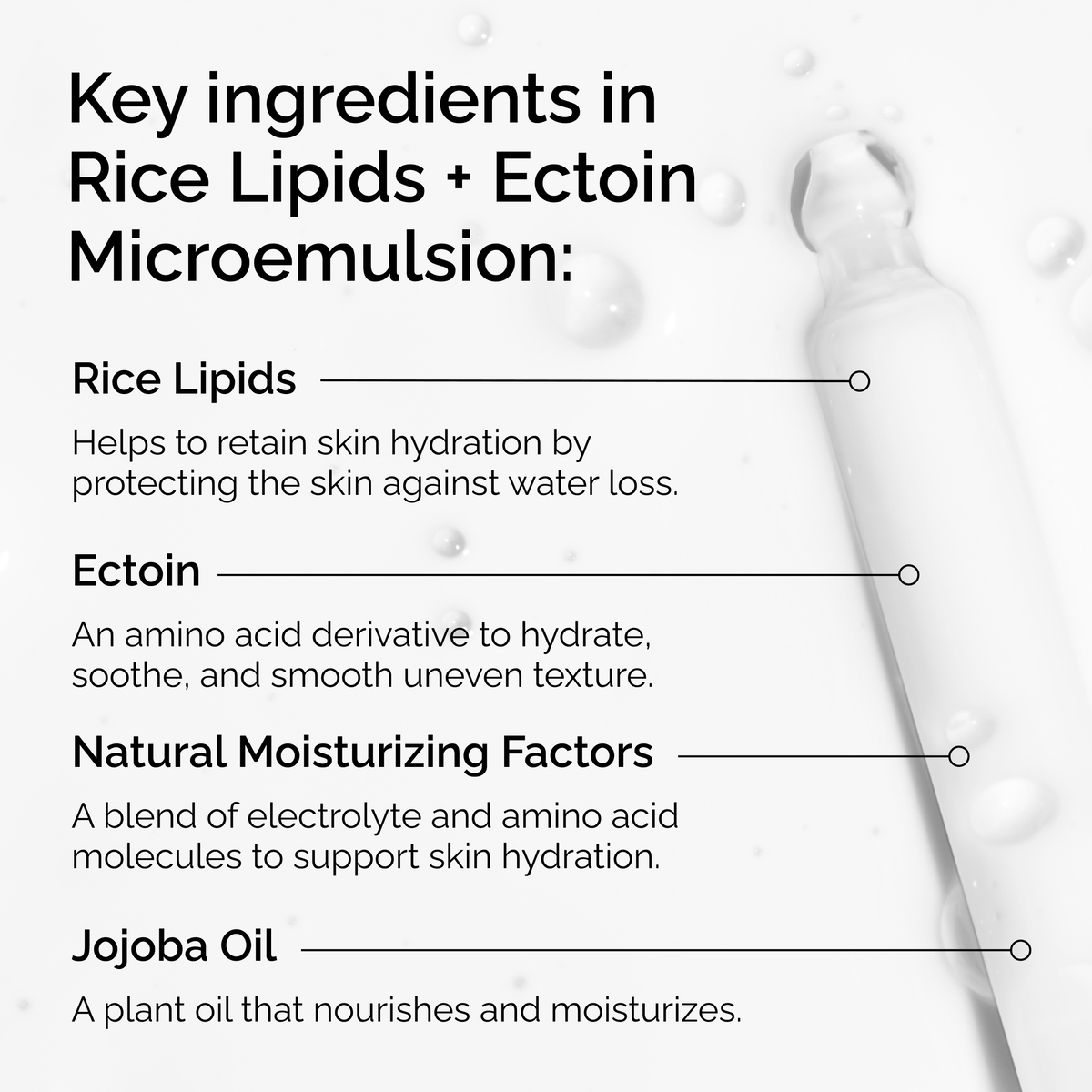 rice-lipids-ectoin-microemulsion-f0 ord-rice-lipids-ectoin-microemulsion-key-ingredients.png