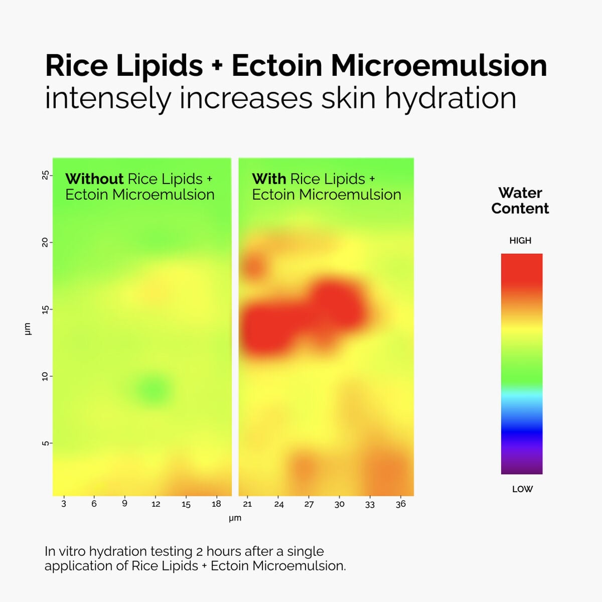 rice-lipids-ectoin-microemulsion-f0 ord-rice-lipids-ectoin-microemulsion-thermal-before-after.jpg